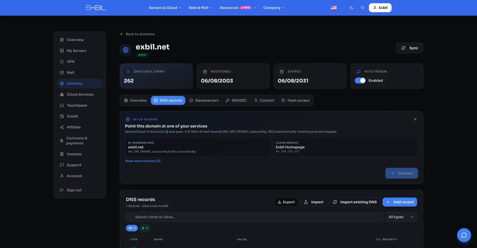 DNS records in the Exbil panel